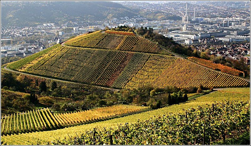 Blick vom Wrttemberg ber den Mnchberg ins Neckartal. Starker Konstrast des herbstlichen Weinberges vor der grauen Stuttgarter Industrielandschaft. 6.11.2005 (Matthias)