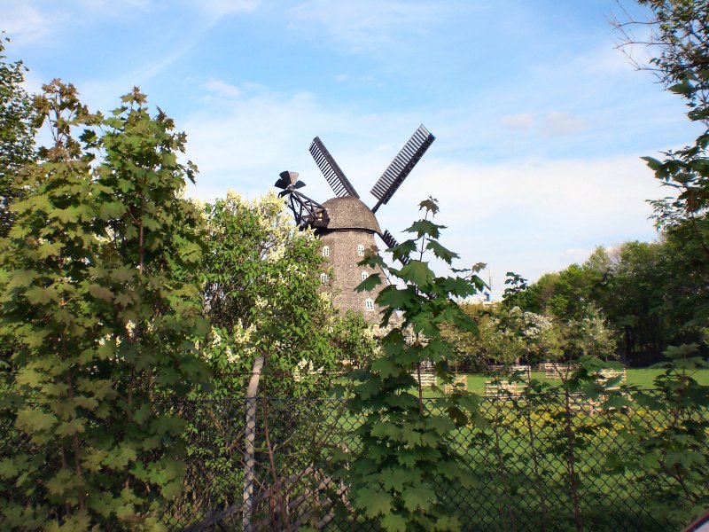 Blick zur Britzer Windmhle, BERLIN-Britz 207