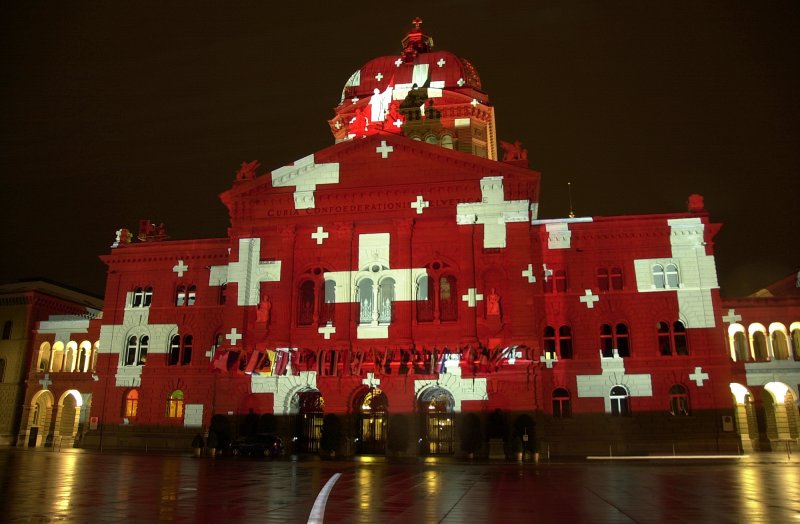 Bundeshaus im Patrioten Look.22.11.2008