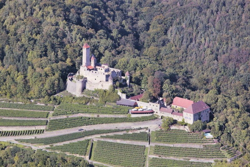 Burg am Neckar zwischen Heilbronn und Mosbach - 02.09.2004