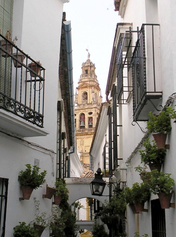 CRDOBA (Provincia de Crdoba), 29.09.2005, Blick auf den Turm der Kathedrale