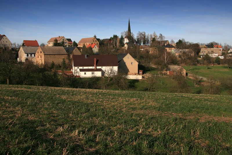 Das Dorf Ghren liegt hoch ber der Mulde unweit von Lunzenau. Den meisten Menschen ist es nur aufgrund des berhmten Ghrener Viadukts an der Eisenbahnstrecke Chemnitz-Leipzig bekannt. Die Aufnahme entstand am 11.03.07.