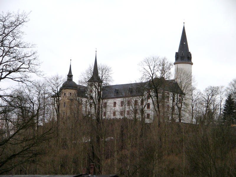 Das Schloss Purschenstein in Neuhausen versteckt sich bei trben Wetter hinter Bumen, 20.01.08