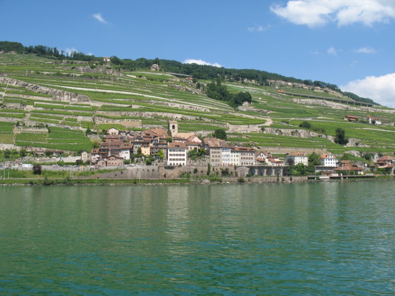 Das Weindorf St-Staphorin im Lavaux.
