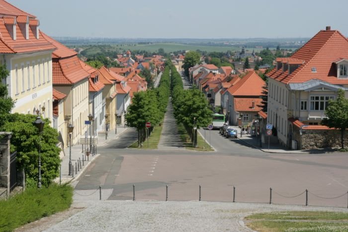 Der Blick vom Ballenstedter Schlo in die Schloplatz Allee; 10.06.2008