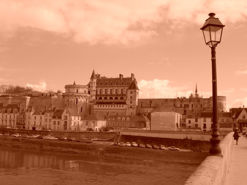 Der Blick schweift ber die Loire zum Schloss Amboise 
(Mrz 2007) 