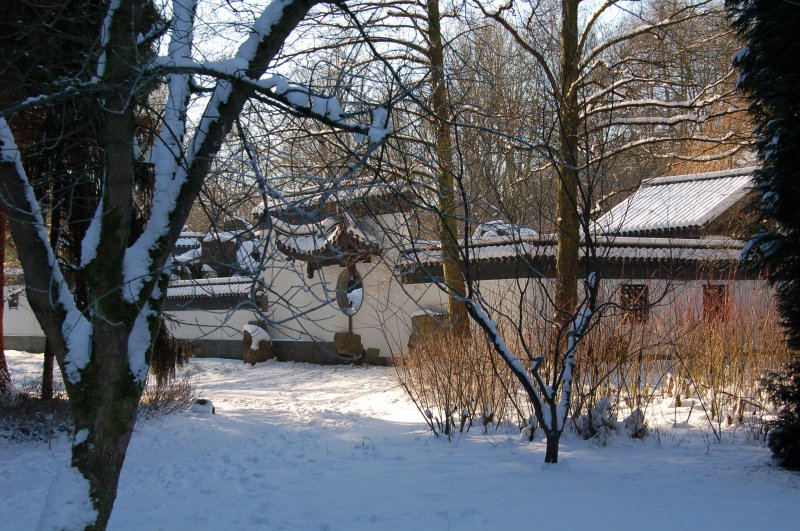 Der Chinesische Garten im Botanischen Garten an der Bochumer Uni
ist nach dem starken Schneefall Anfang des Jahres eingeschneit.
