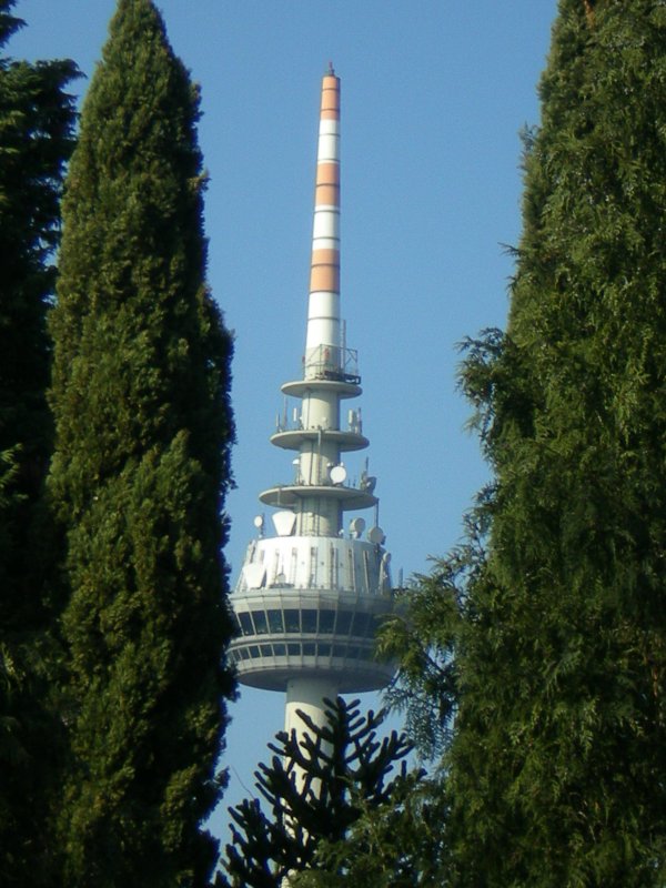 Der Fernmeldeturm in Mannheim, fotografiert vom Luisenpark aus am frühlingshaften Sonntag, 24.02.2008. 