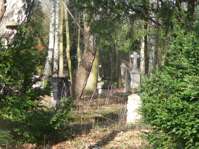 Der Friedhof in Kstrin-Kietz beherbergt noch viele Grber aus dem 19. Jahrhundert. Auch Opfer der beiden Weltkriege sind hier begraben. 3.2.2007