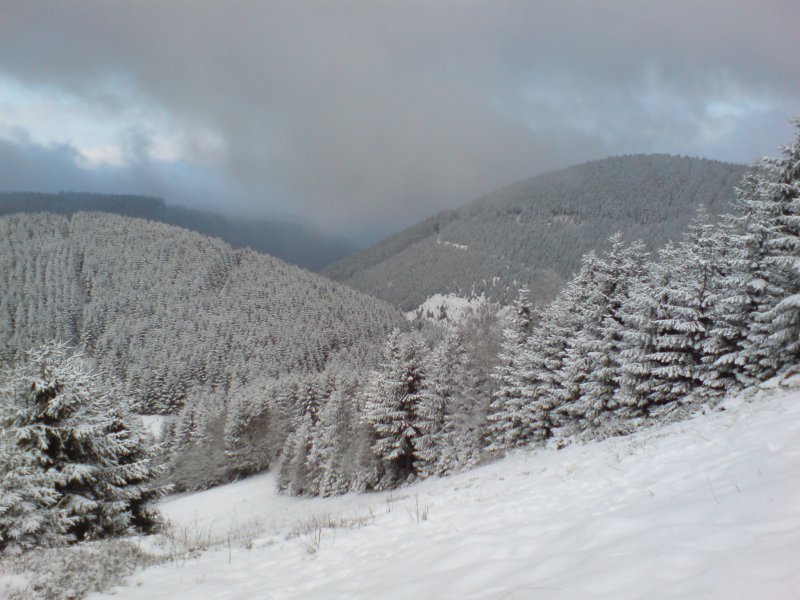 Der Harz. Blick vom Liebesbankweg (Hahnenklee); Winter 2007/08