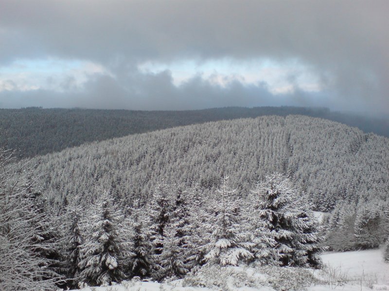 Der Harz. Blick vom Liebesbankweg (Hahnenklee); Winter 2007/08