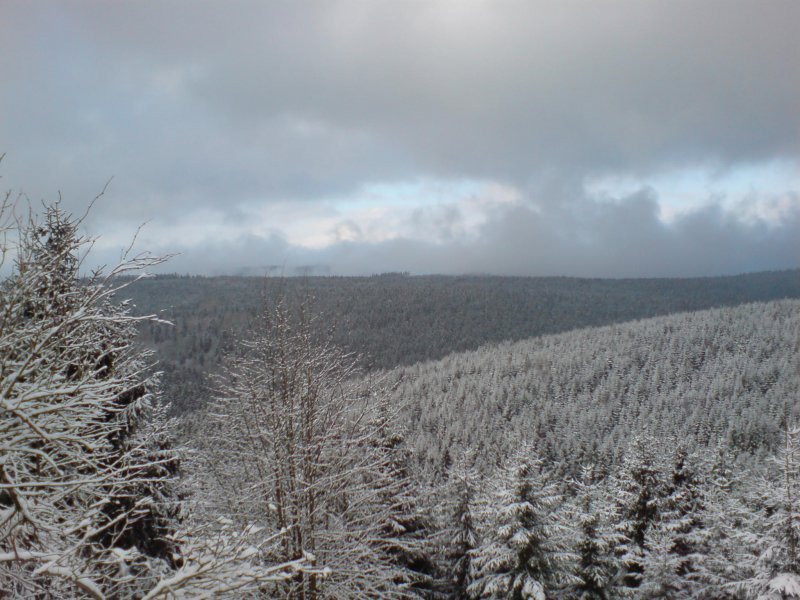 Der Harz. Blick vom Liebesbankweg (Hahnenklee); Winter 2007/08