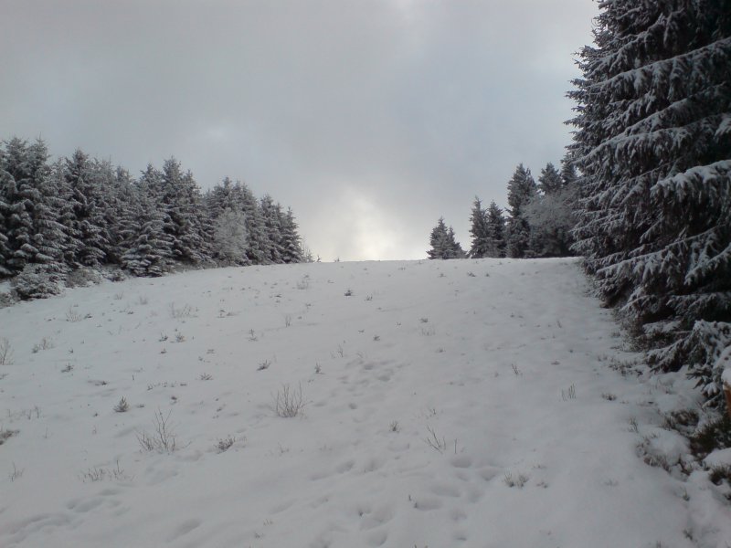 Der Harz. Blick vom Liebesbankweg (Hahnenklee); Winter 2007/08