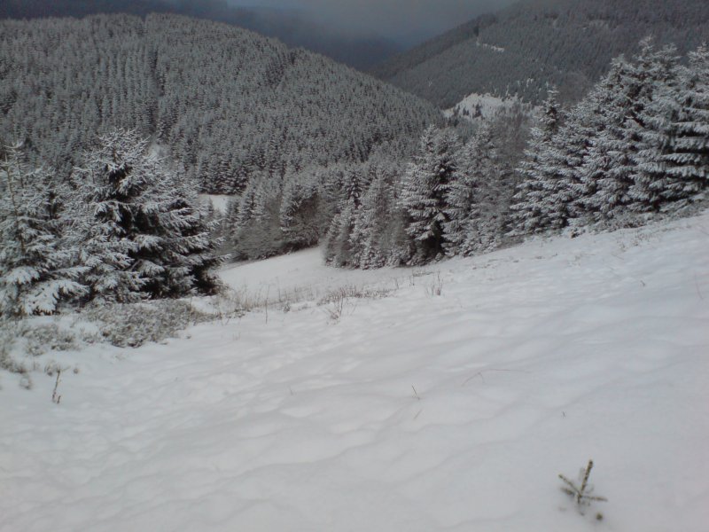 Der Harz. Blick vom Liebesbankweg (Hahnenklee); Winter 2007/08