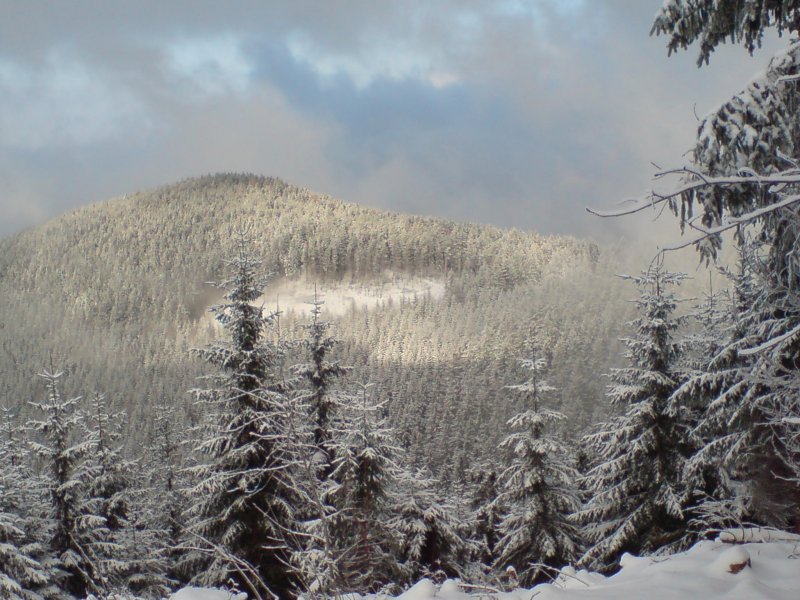 Der Harz. Blick vom Liebesbankweg (Hahnenklee); Winter 2007/08