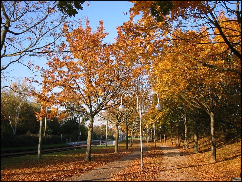 Der Herbst 2005 war einmalig schn. Hier eine Aufnahme aus dem Beiertheimer Feld in Karlsruhe. (28.10.2005)