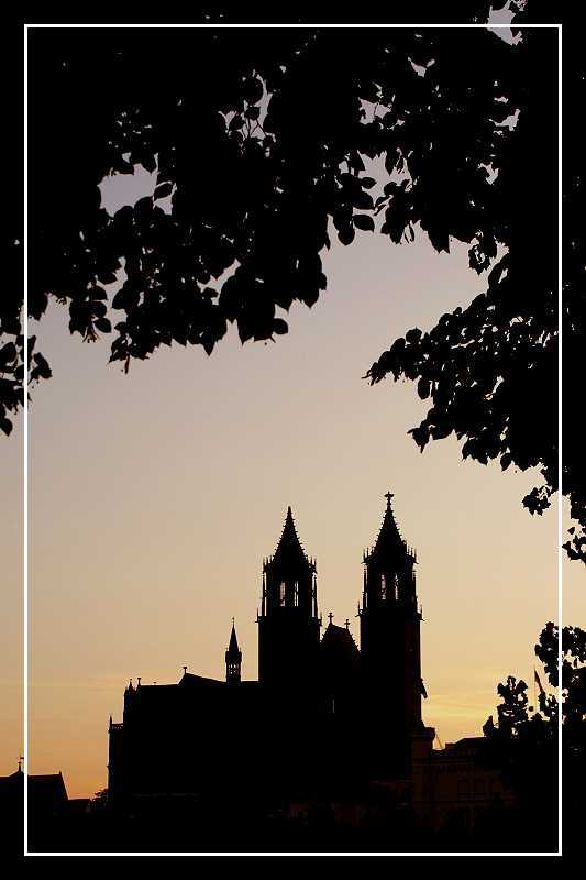 Der Magdeburger Dom am Abend (August 2009)