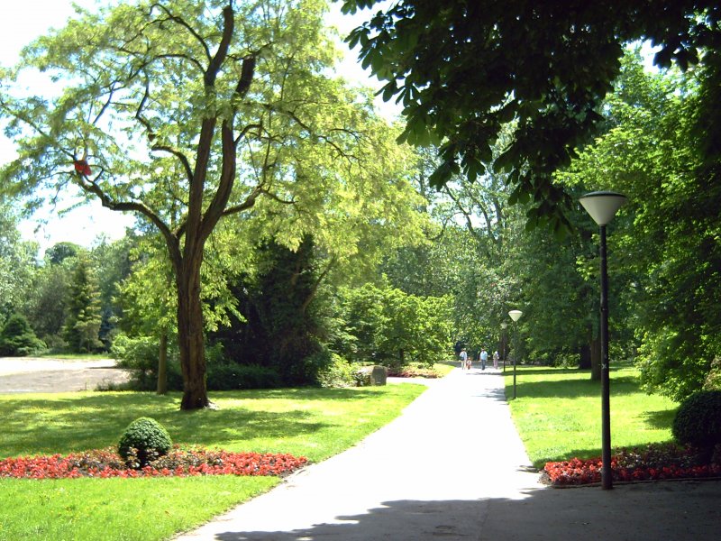 Der Rombergpark in Dortmund - Staedte-fotos.de