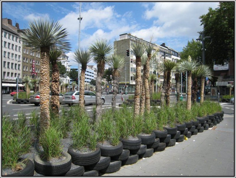 Der Stresemannplatz in Dsseldorf nach der Neugestaltung mit den Yucca-Pflanzen und den Autoreifen. (07.07.2007)