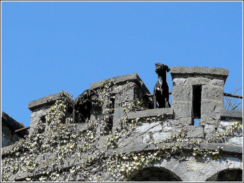 Der Wachturm war gut bewacht. 30.03.09 (Hans)