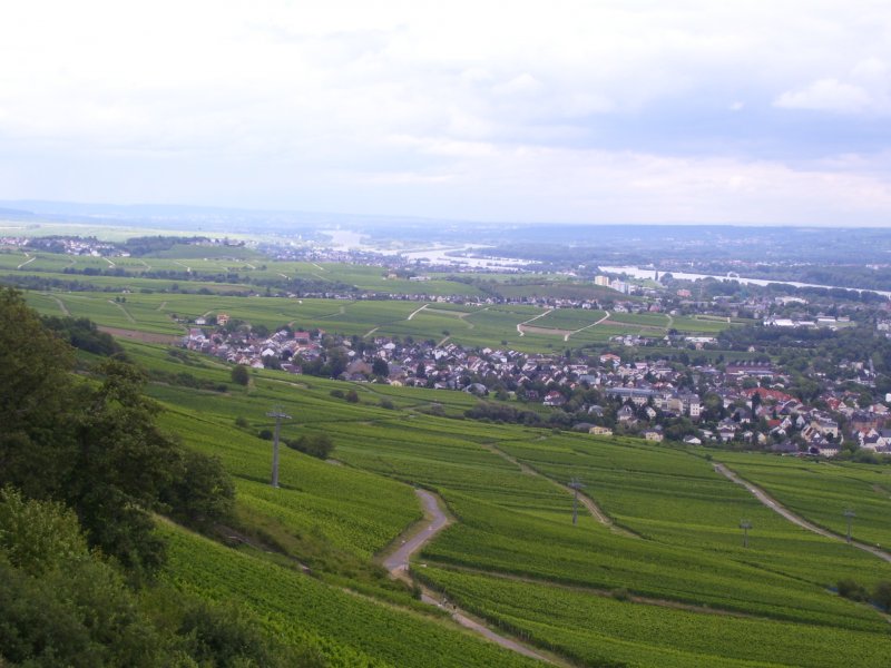 Die bei Touristen weltbekannte Stadt Rdesheim am Rhein vom Niederwalddenkmal aus gesehen. 24.07.2007