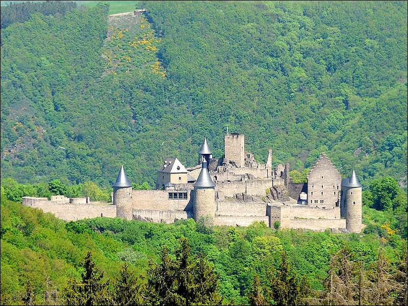 Die Burg Bourscheid aufgenommen an Pfingsten 2008 von der Straße, welche von Bourscheid nach Bürden führt.