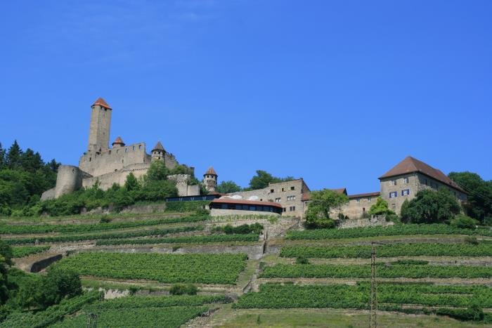 Die Burg Hornberg bei Neckarzimmern. Die Burg wurde im 11. Jh erbaut. Sie war Sitz der Grafen von Lauffen. 1517 kaufte Gtz von Berlichingen die Burg. Der Ritter mit der eisernen Hand lebte bis zu seinem Tod im Jahr 1562 auf der Burg.