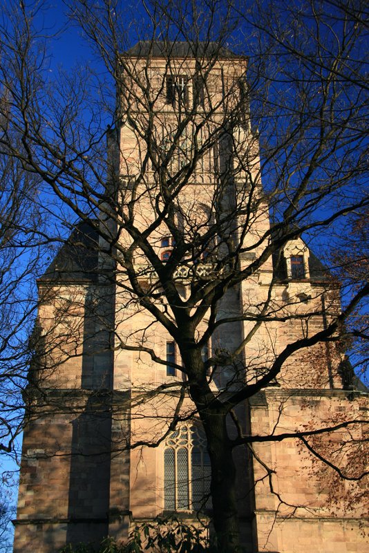 Die Chemnitzer Schlokirche  durch den Baum gesehen ; 27.12.06.