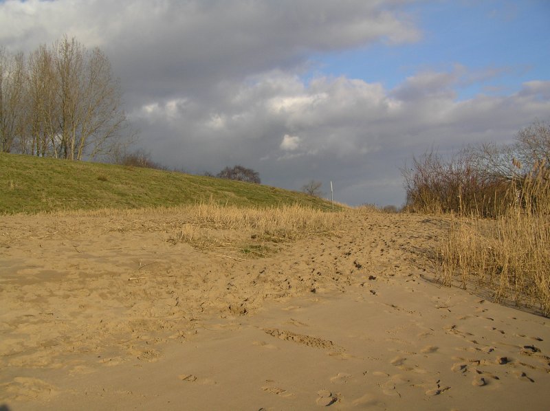 Die Elbe im Hamburger Stadtteil Finkenriek (Elbinsel Wilhelmsburg) im Winter 2009