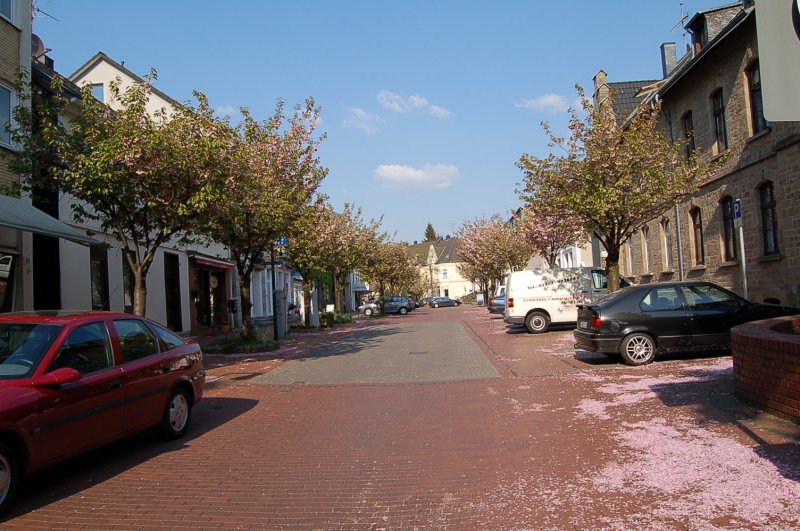 Die Innenstadt von Witten-Herbede im Frhling - ein Meer aus rosa Blten