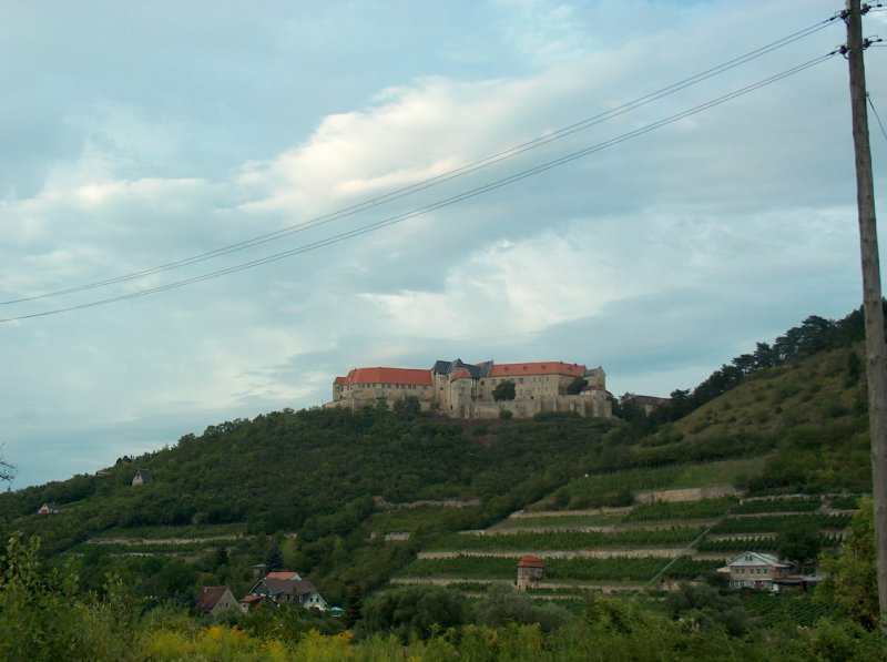 Die Neuenburg oberhalb von Freyburg mit den Freyburger Weinbergen.
26.07.2007