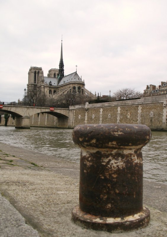 Die Notre-Dame am 20.01.2008