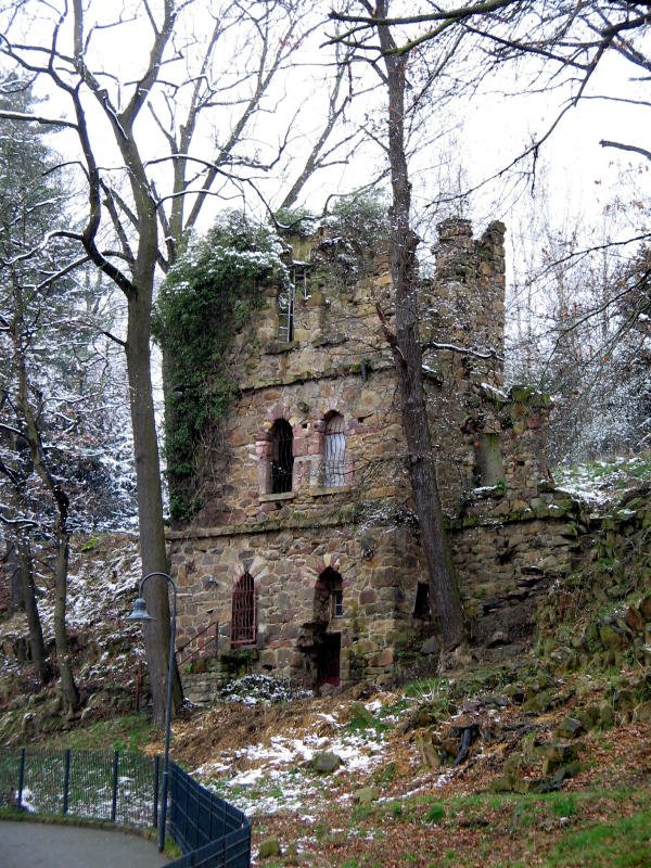 Die Ruine der alten Gattersburg in Grimma, die zwischenzeitlich als Behausung fr Bren diente. 23.03.08
