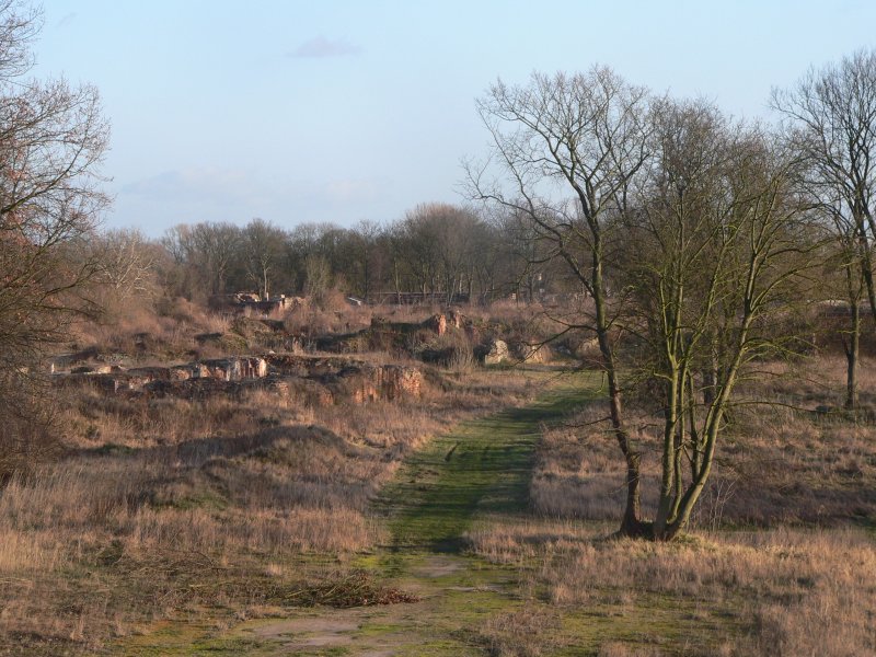 Die Ruinen der ehemaligen Altstadt. Hier kann man die Dimensionen erahnen. 3.2.2007