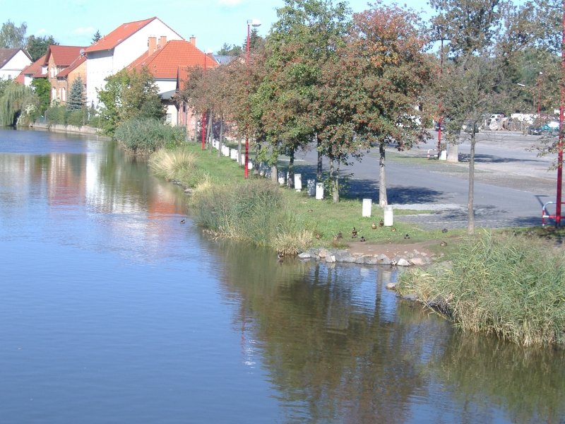 Die WERRA in Eschwege. Aufgenommen am 08.10.2006