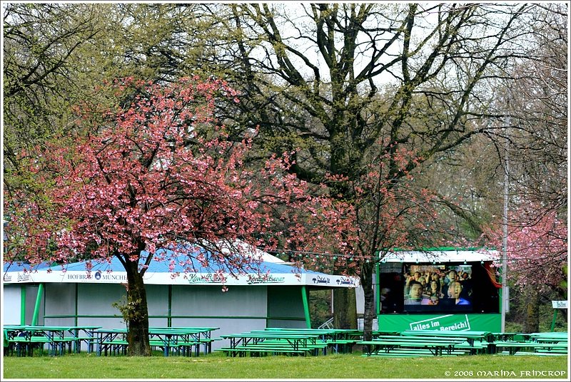 Duisburg - Public Viewing im Biergarten Wedau - Testlauf fr die Fussball-Europameisterschaft.