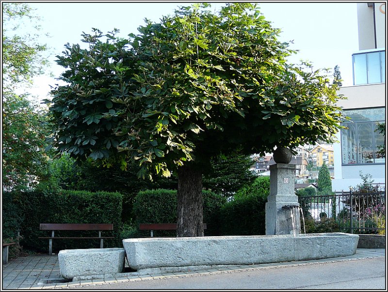 Ein Brunnen in den Strassen von Spiez aufgenommen am 28.07.08. (Jeanny) 