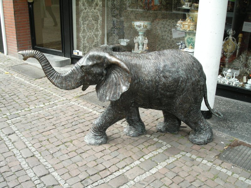 Ein Elefant in Aachen, 20.09.2004.