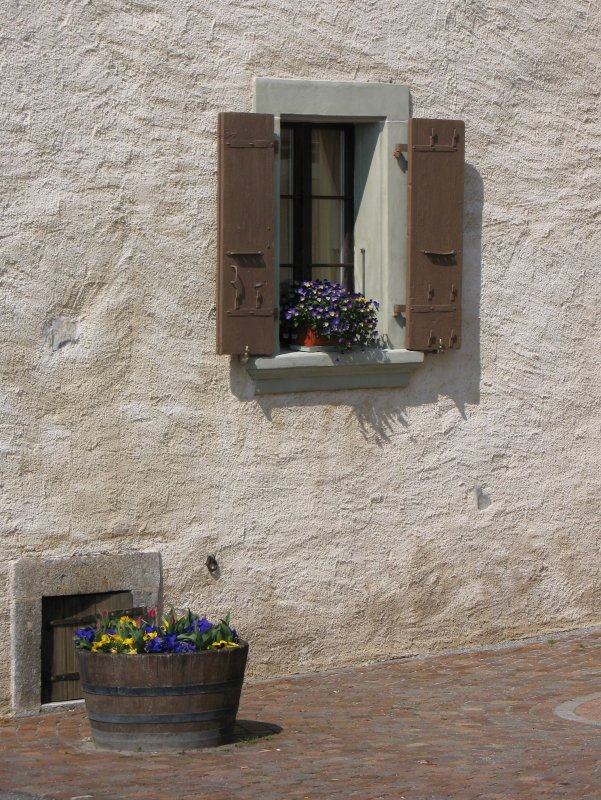 Ein Frhlingsfenster in St-Saphorin