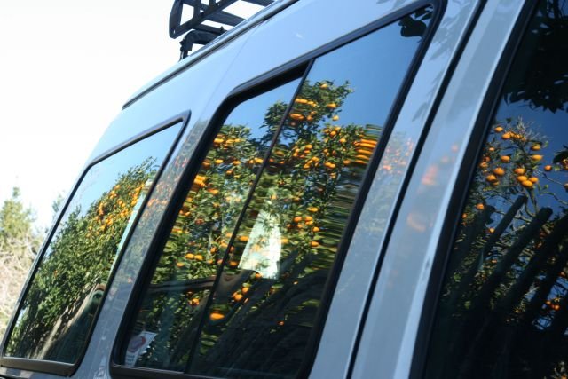 Ein Orangenbaum spiegelt sich in der Scheibe eines parkenden Autos.