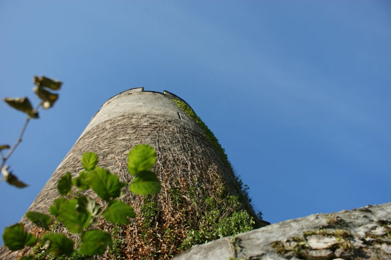 Ein Turm in La Tour-de-Peilz. 
(Aug. 2008)