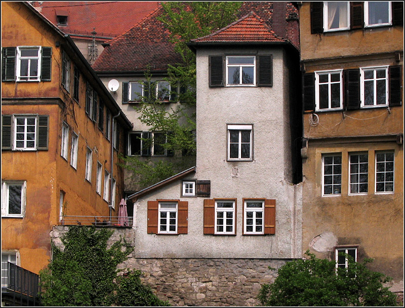 Ein witziges Huschen in Tbingen direkt oberhalb des Neckars. 02.05.2009 (Gisela)