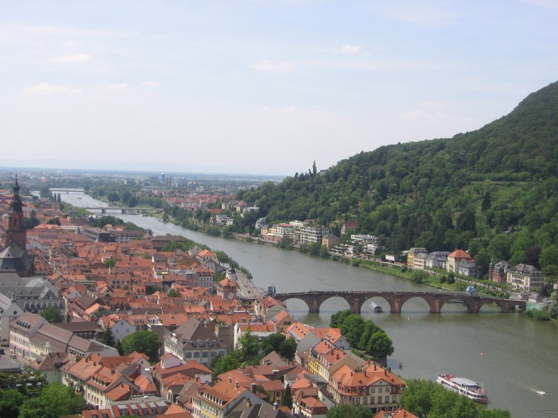 Ein wunderbarer Überblick über Heidelberg mit dem Neckar der mittendurch fließt (10.06.06)