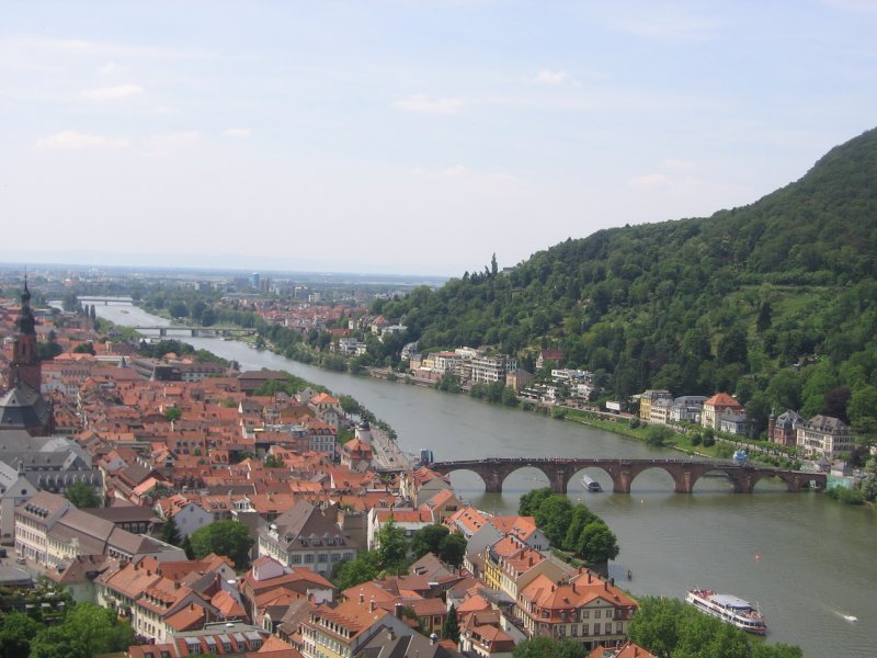 Ein wunderbarer berblick ber Heidelberg mit dem Neckar der mittendurch fliet (10.06.06)