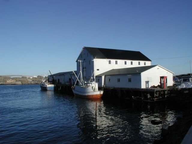 Eine Fischfabrik auf Sakrisya. Hier werden die Dorsche zum Aufhngen auf die Trockgestelle vorbereitet.