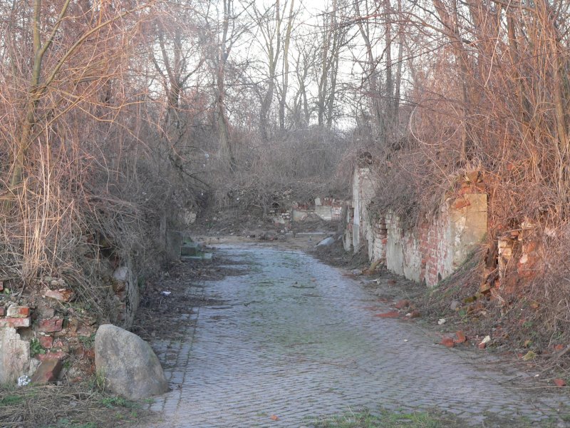 Eine grere Strae mit den zerstrten Husern. Das schreckliche Bild, das sich hier nach dem Krieg gezeigt haben muss, wird eigentlich nur durch den Baumwuchs der nachfolgenden Jahrzehnte gelindert. 2.2.2007