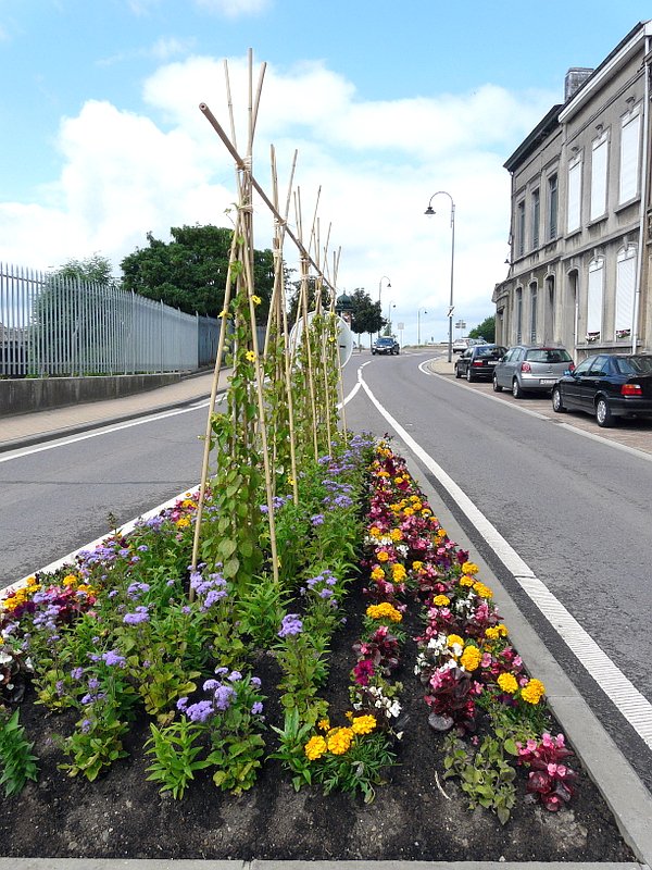 Eine Strasse in Arlon mit schnem Blumenschmuck. 21.06.08 (Jeanny)