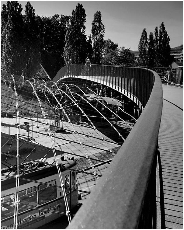 Eine weiteres Brckenkunstwerk aus Stuttgart: die zur IGA `93 entstandene Seilnetzbrcke am Lwentor. Dies Brcke verbindet den Rosensteinpark mit dem Leibfriedschen Garten, beide Teilbereiche des  Grnen Us . 26.5.2005 (Jonas)
