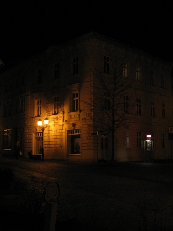 Eines der schönen alten Gründerzeithäuser in der Wenceslaigasse in Wurzen. 04.03.07