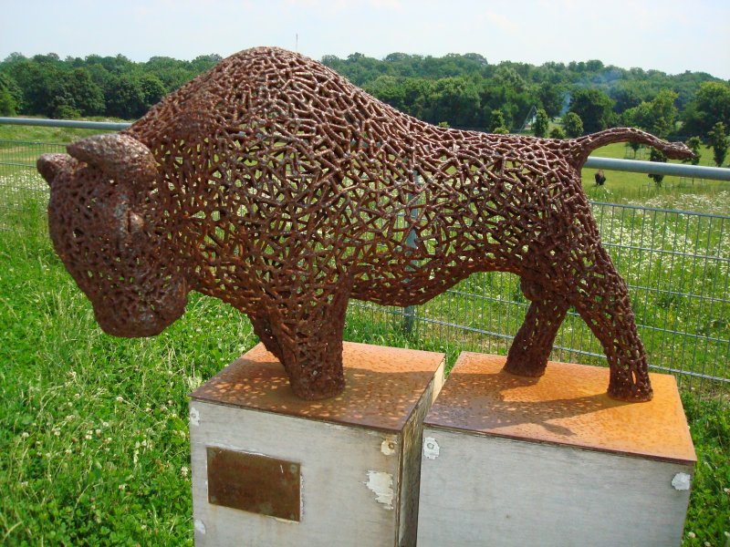 Eisenbison-geschweisst,im Freiburger Haustierzoo-dem  Mundenhof ,dahinter das Bisongehege mit den  Echten ,
Juni 2008 